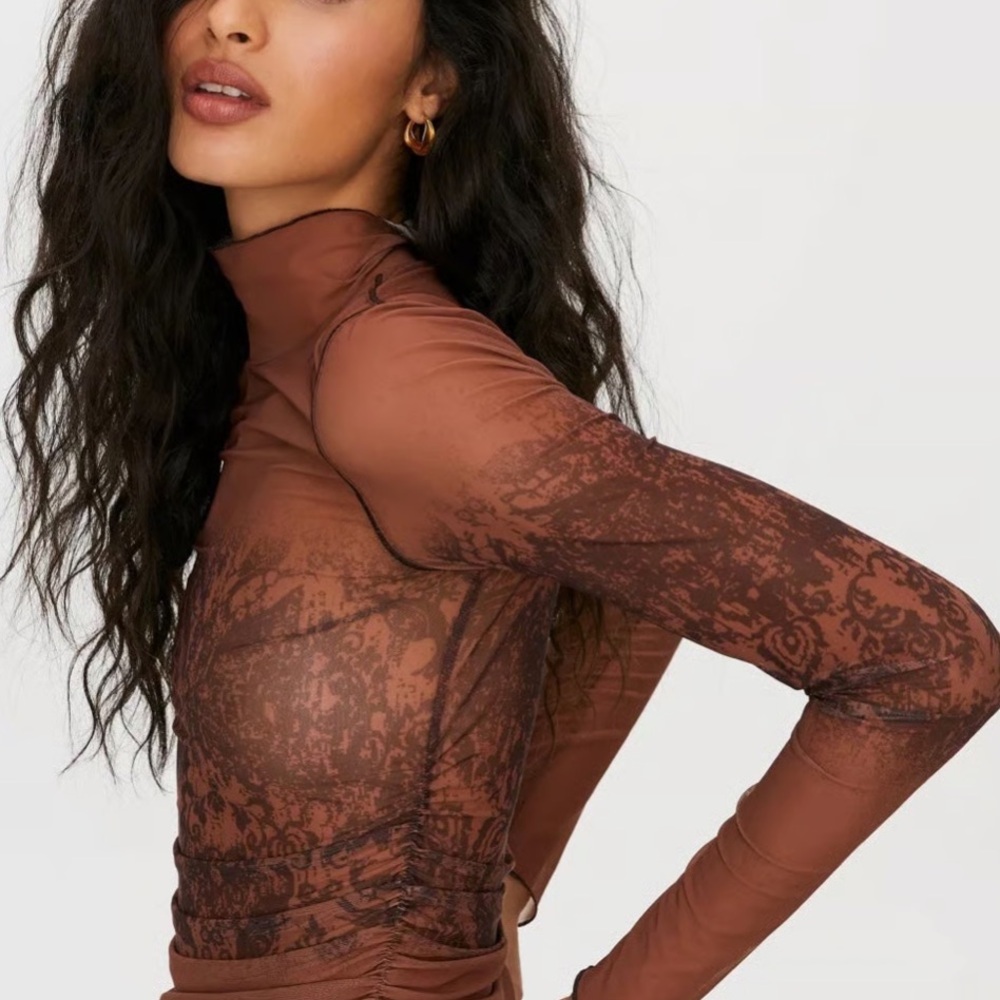 Aritzia sheer turtle neck